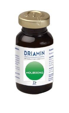 DRIAMIN MOLIBDENO 10FL 15ML-2