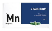 VITAOLIGUM MANGANESO 20F-1