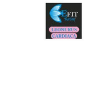 LEONURUS CARDIACA EF 30ML-1