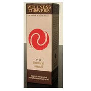 FLORES DE BIENESTAR N10 50ML-1