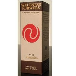 FLORES DE BIENESTAR N12 50ML-1
