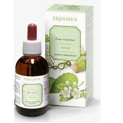HOJAS DE GINKGO BILOBA EI 50ML-1
