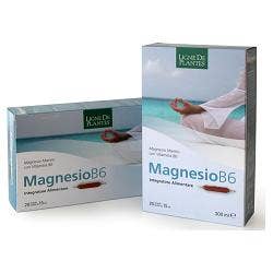 MAGNESIO B6 20 AMPOLLAS-1