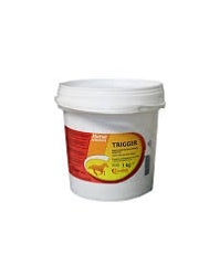 Candioli Trigger Suplemento de aminocidos para caballos 1 kg Punch-1