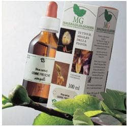 ABEDUL 100ML MG-1
