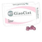 Gisocist 15 Comprimidos Tragables-1
