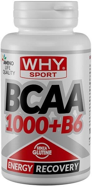 WHYSPORT BCAA 1000+B6 200CPR
