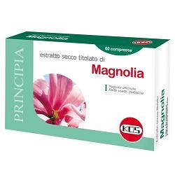 Extracto Seco de Magnolia 60 Comprimidos-1