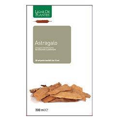 ASTRAGALO 20 AMPOLLAS 15ML-1