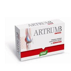 ARTRUM BC / MANGOSTO 48CPR 31G-1