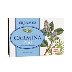 CARMINA PLUS 24CPR 19.2G-1