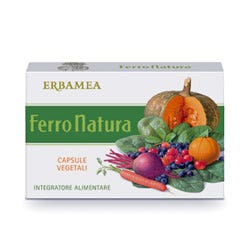 24CPS 530MG FERRONATURA-1