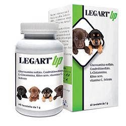 Legart Up Pienso Complementario Perros/Gatos 60 Comprimidos Desde 1g-1