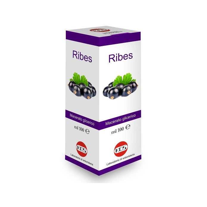 Ribes Nigrum Gotas de Glicerina Macerada 100ml-2