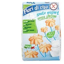 R&R YOGURT ARROZ FLORES 250G-1