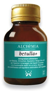 ABEDUL + 40CPS-1