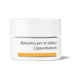 Dr. Hauschka Blsamo Labial 4,5g-2
