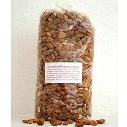 SEMILLAS DE ALBARICOQUE 1KG-1