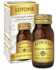 LOTOVIS 100 PASADO-1