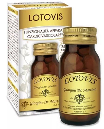 LOTOVIS 100 PASADO-1