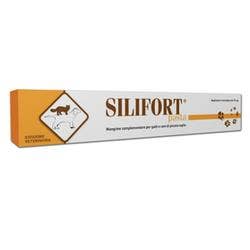 Silifort Pasta con Siringa 30g-1