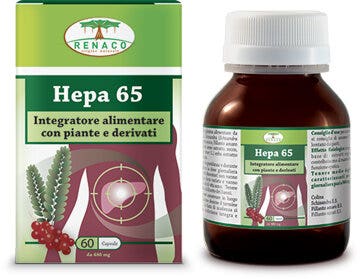 HEPA 65 60CPS-2