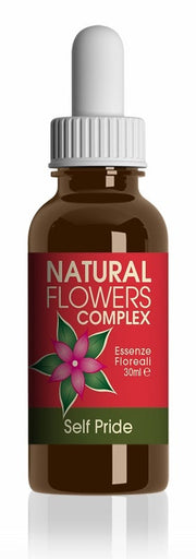 COMPLEMENTO DE FLOR NATURAL AUTO ORGULLO-1