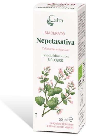 MACERATO NEPETASATIVO CAIRA-1