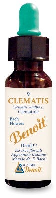 BENOIT FLORES DE BACH CLEMATIS-1