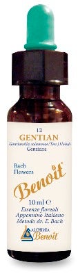 FLORES DE BENOIT DE BACH GENTIAN-1