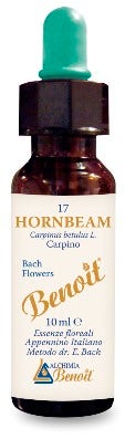 FLORES DE BENOIT DE BACH HORNBEAM-1