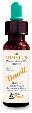 BENOIT FLORES DE BACH MIMULUS-1