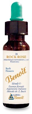 FLORES ROSA DE ROCA DE BENOIT BACH-1