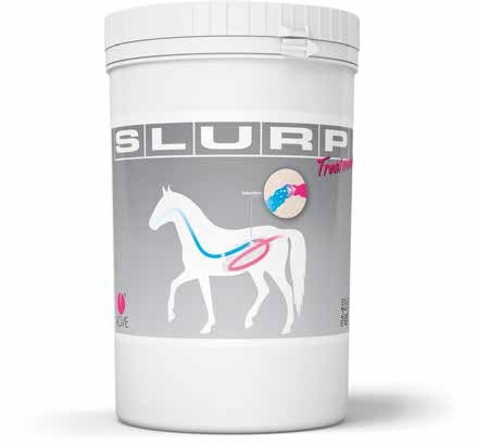 Tratamiento Slurp Pienso Complementario Tránsito Intestinal Equino 800g-1
