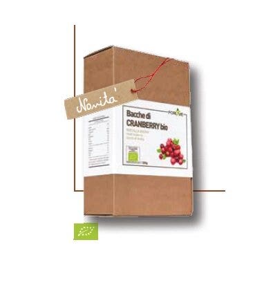 BIO ARÁNDANO BAYAS 200G-1