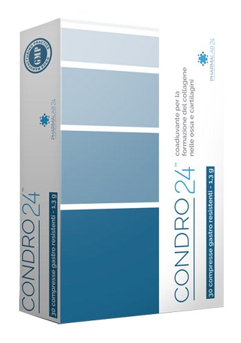 Condro24 30 Comprimidos-1