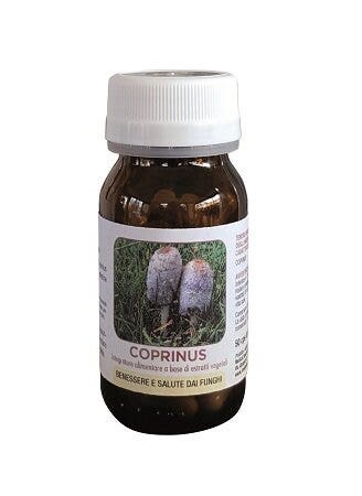 DR POCK COPRINUS 50CPS-2
