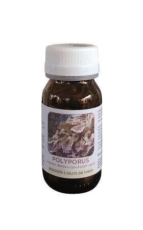 DR POCK POLYPORUS 50CPS-2