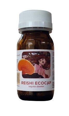 DR POCK REISHI ECO 50CPS-2