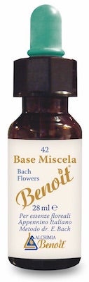 BENOIT MEZCLA BASE 28ML-1