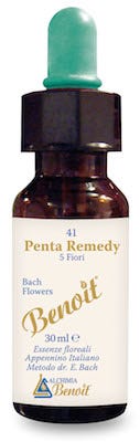 Benoit Flores de Bach Penta Remedio 30ml-1