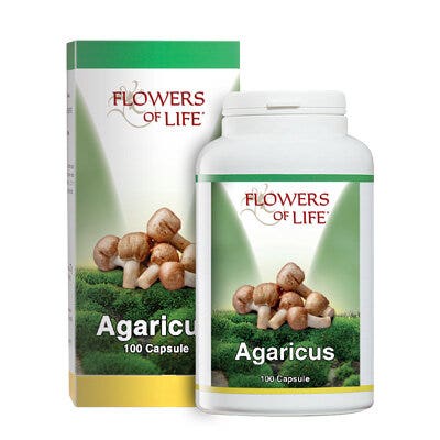 AGARICUS BLAZEI 100CPS FLORES-2