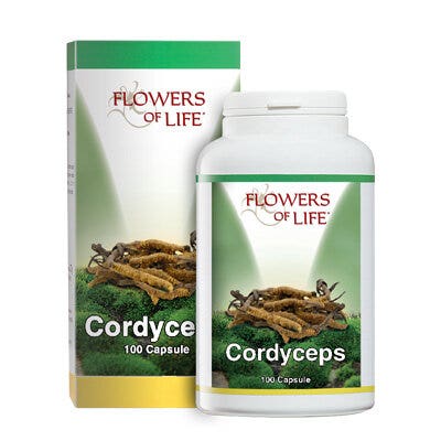CORDYCEPS 100CPS FLORES DE LI-2