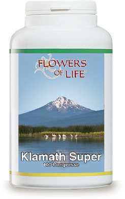 FLORES KLAMATH SUPER 100CPR-1