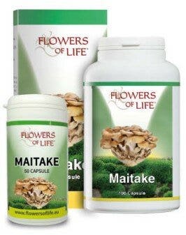 MAITAKE 50CPS FLORES DE LA VIDA-1