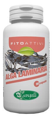 FYOACTIVES ALGAS LAMINARIAS 90CPS-2