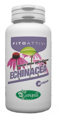 FITOACTIVOS EQUINACEA 60CPS-1
