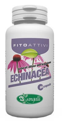 FITOACTIVOS EQUINACEA 60CPS-2