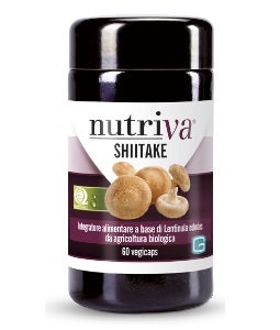 Shitake Nutrido 60 Cápsulas Vegetarianas-1