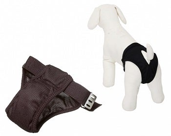 Camon Click E Clean Panty Higiénico Talla 5-1